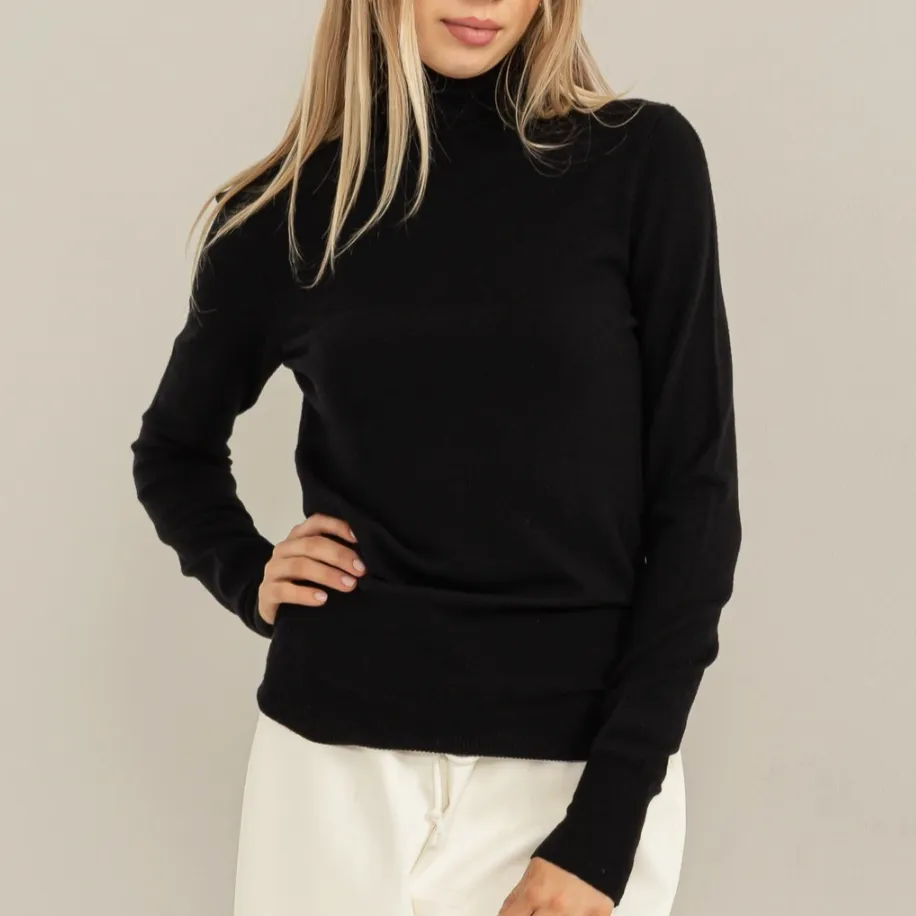 Chic Position Turtleneck Fitted Sweater Top